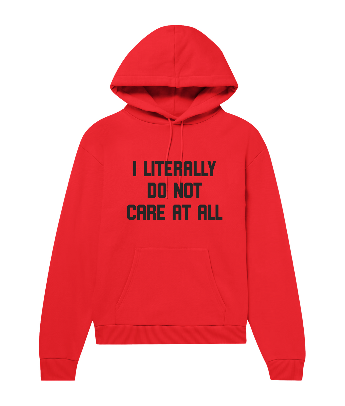 I Literally Do Not Care Hoodie